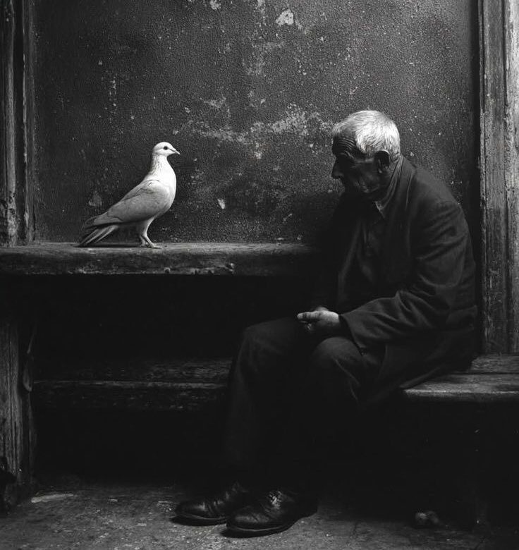“İnsanları hatasızlık mevkisine oturtmayınız. İncinirsiniz. Onları toptan yanlışlık abidesi olarak da görmeyiniz. Bu sefer de incitirsiniz.”