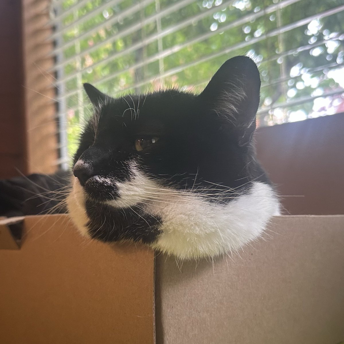 Does anyone need some cheek I got extra