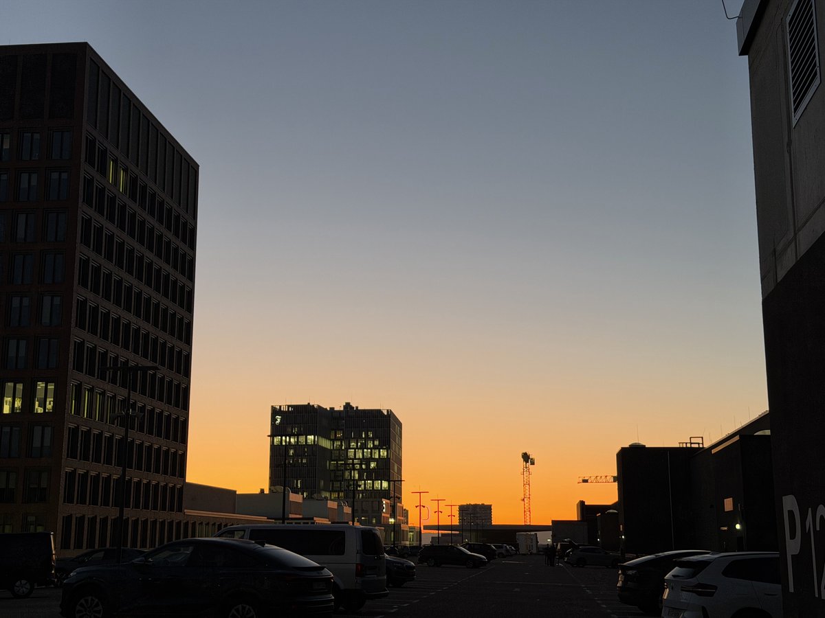 ☆SOLD！アルパカごりらぶ(*´∇｀*)♪☆ご購入確定品！ボールド計4個 車型のギフトならCAMSHOPで！3960円（税込）以上のお買い物は送料無料