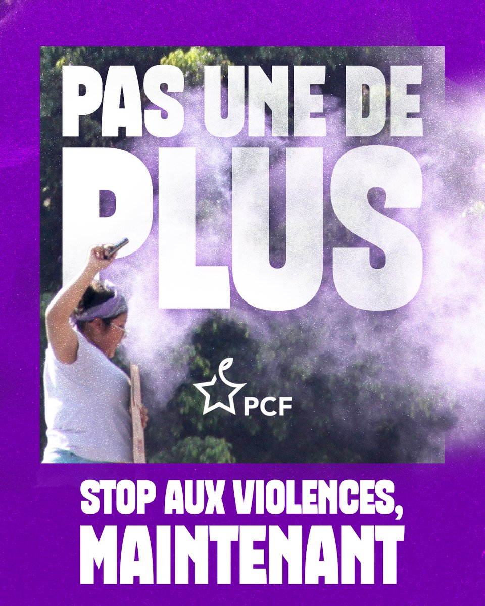 📢 Pas une de plus. STOP aux violences, maintenant.

La Mission interministérielle pour la protection des femmes contre les violences et la lutte contre la traite des êtres humains,  vient de publier son rapport annuel, et les chiffres sont accablants.

En 2024, 107 femmes ont