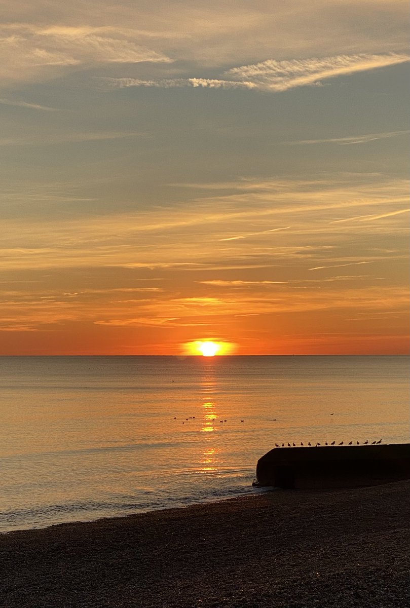 Brighton Beauty tweet media