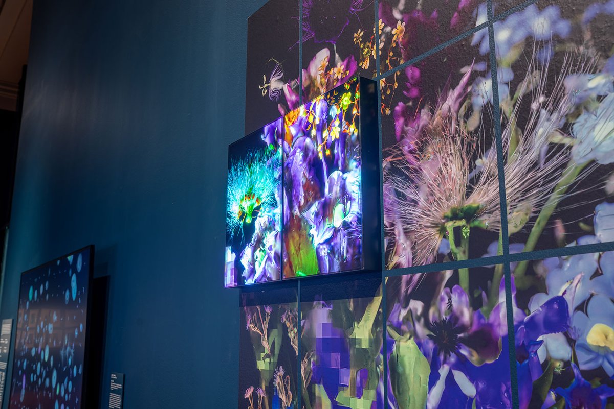 Right Click Save tweet media