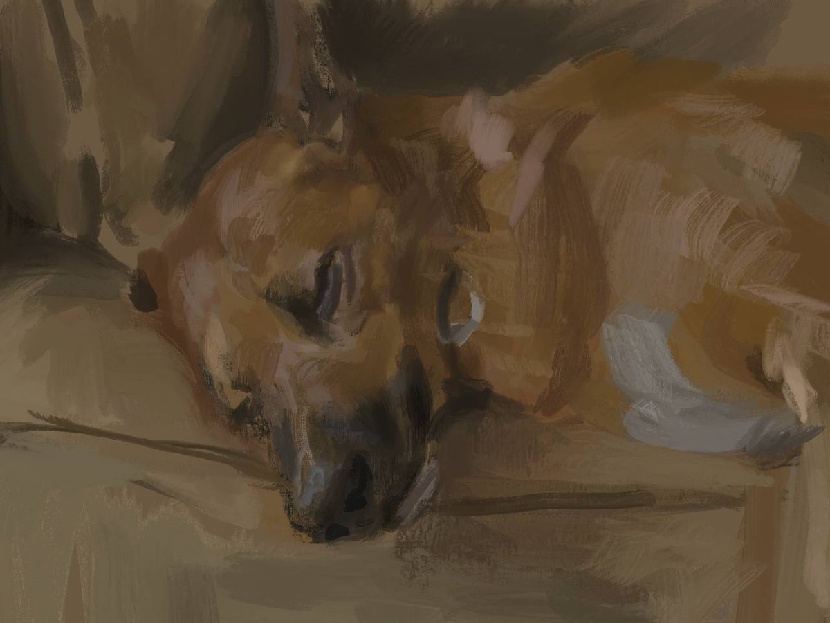 Been trying to paint from life everyday lately. two quick ones i liked of my dog.