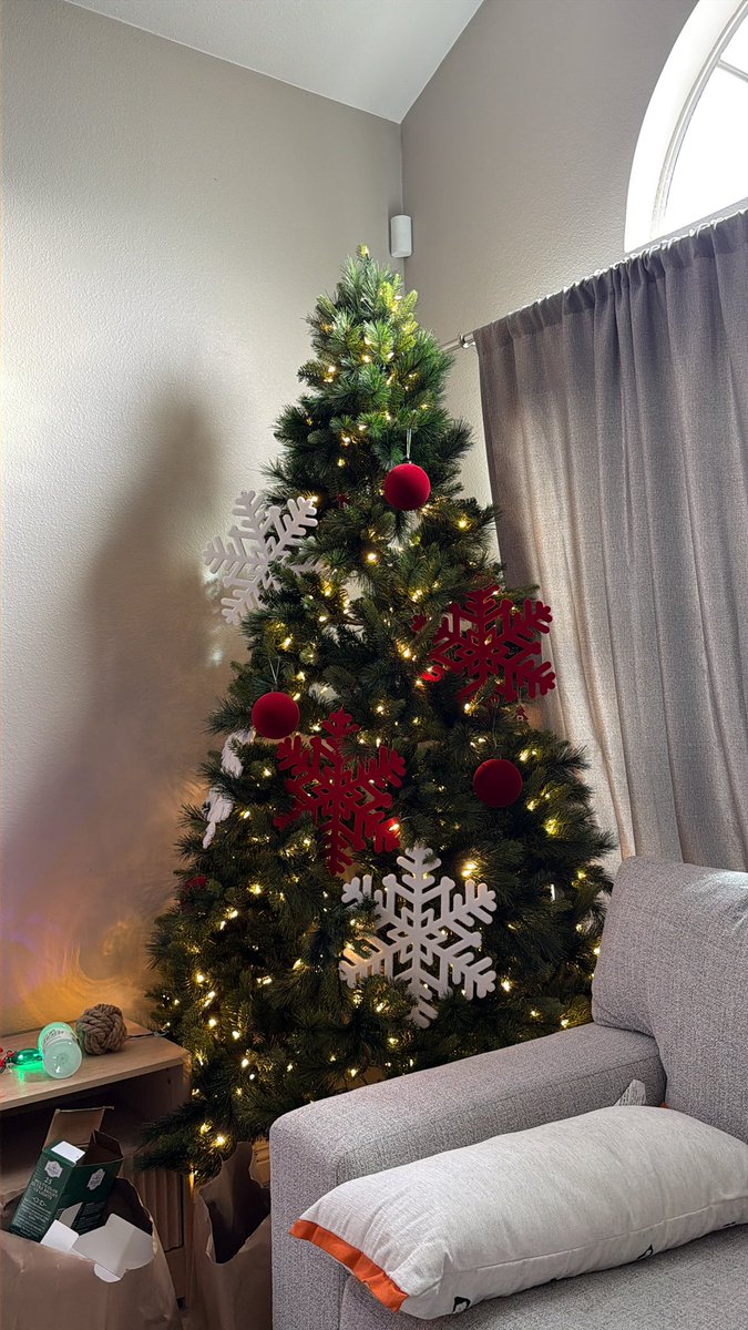 cryptologicjohn's tweet image. 🌲 I have 3 in my house