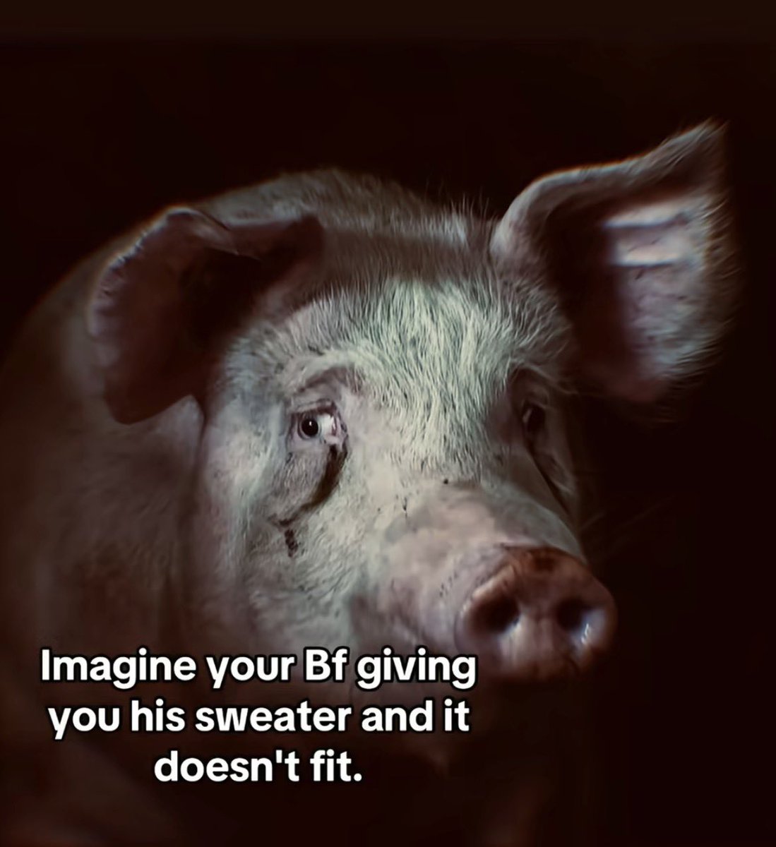 EdaZER0's tweet image. 