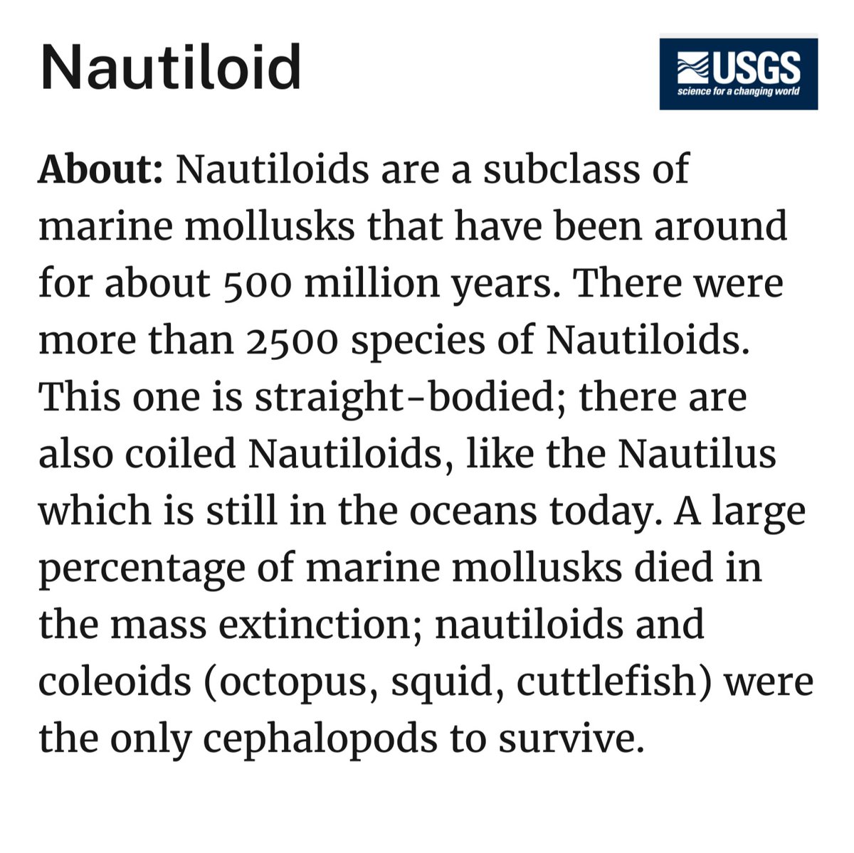 ThomasHammerich's tweet image. ⛏  It&apos;s #FossilFriday  🐚

👏 Let&apos;s build another fossil!

🔎 A Nautiloid would fit perfectly to our last weeks marine fossil...

📲  🖨  📄  ✂️ &amp;amp; have fun!

👇    👇
usgs.gov/media/files/na…

1/2 Instructions below 

#geology #geoscience #paleontology #fossil #kids #DIY