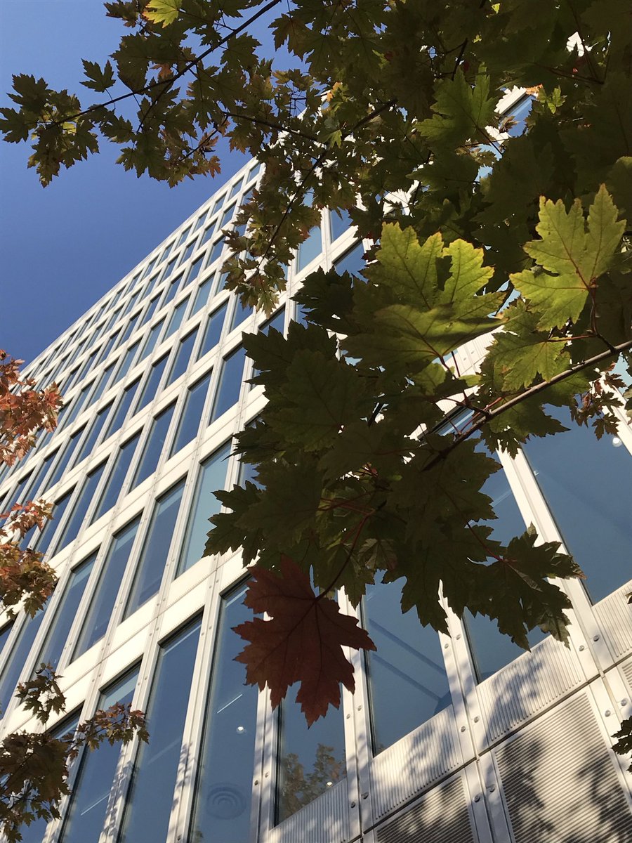 慢慢来 tweet media