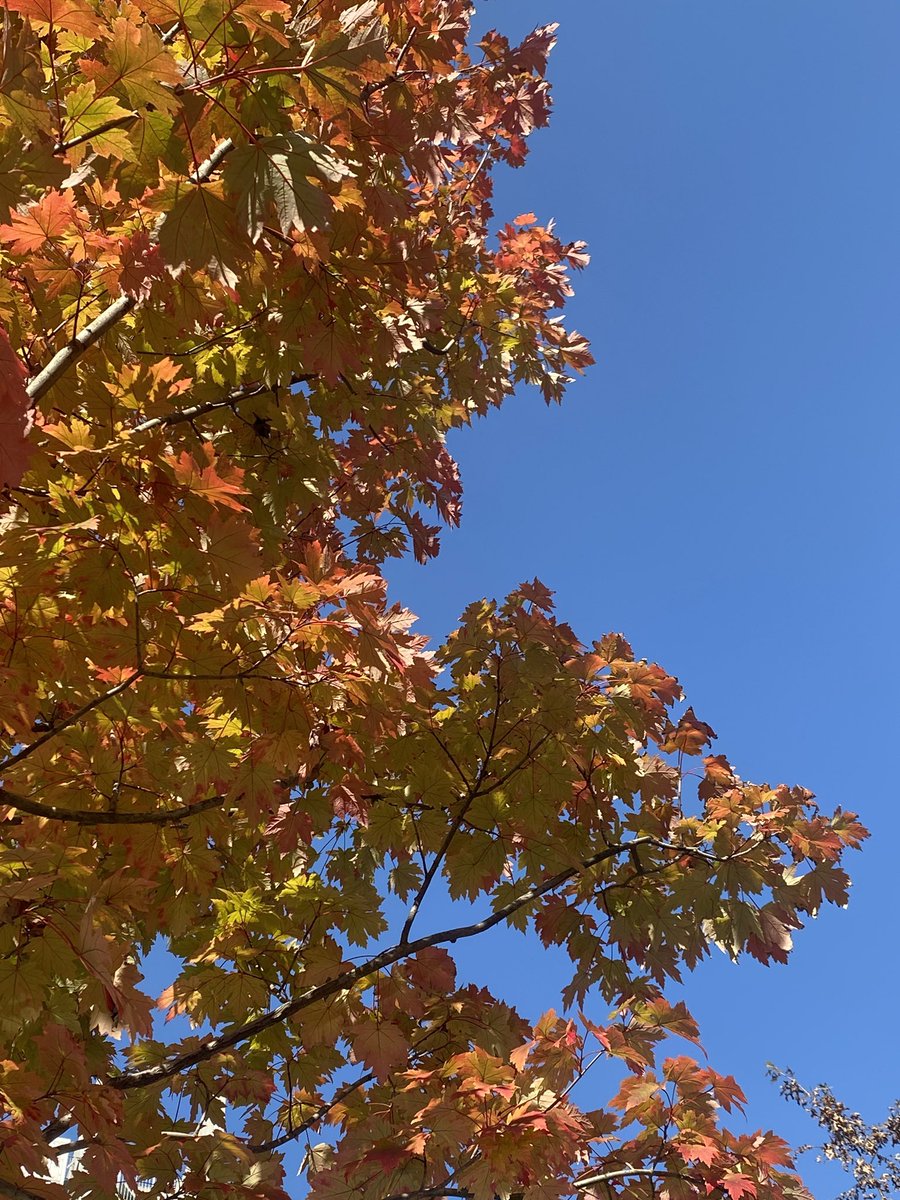 慢慢来 tweet media