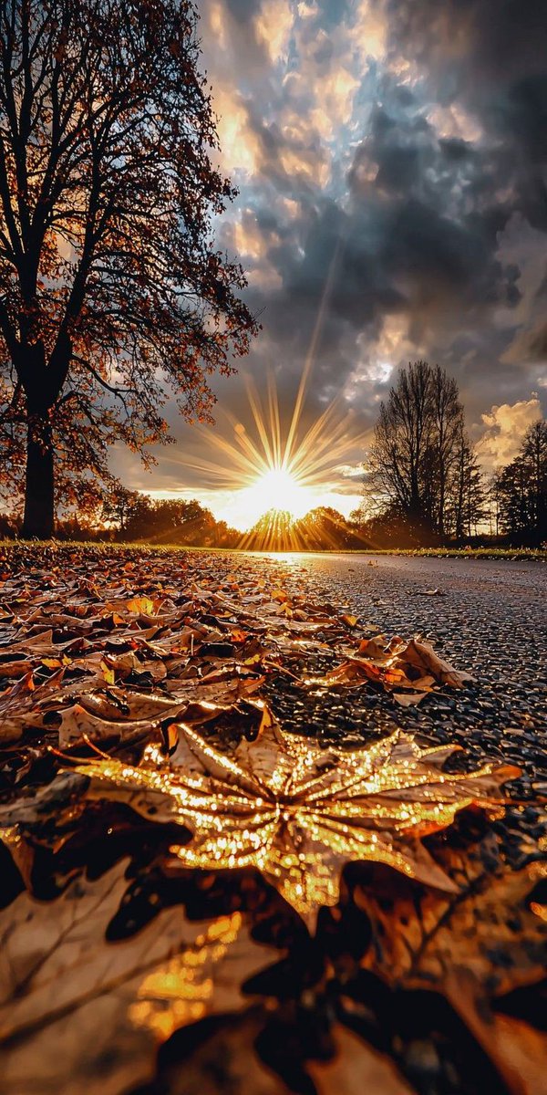 𝑩𝒆𝒂𝒖𝒕𝒊𝒇𝒖𝒍 𝒆𝒗𝒆𝒏𝒊𝒏𝒈 𝒆𝒗𝒆𝒓𝒚𝒐𝒏𝒆 💫 🧡 
#beautifulsunset