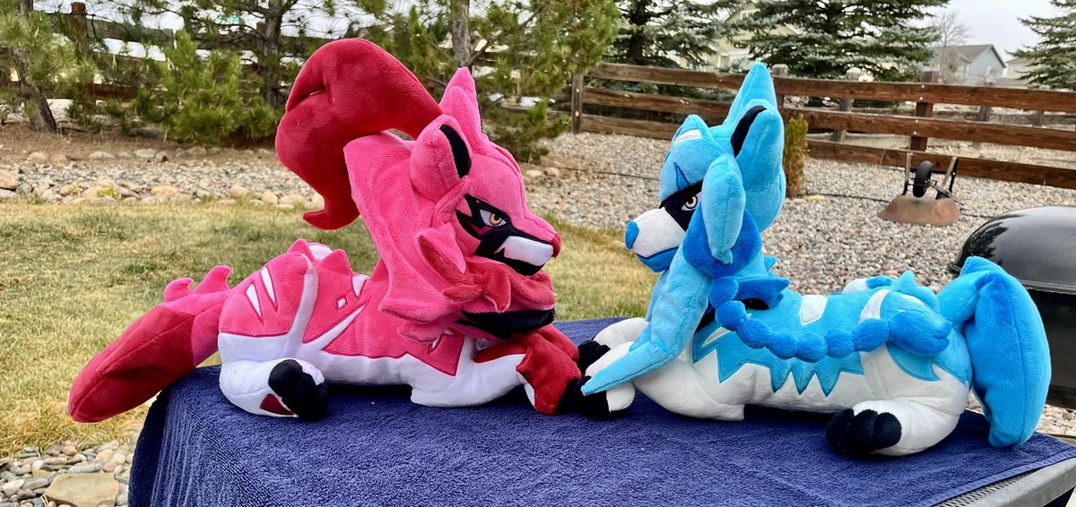 Floof Fluff 🪡 🧵 tweet media