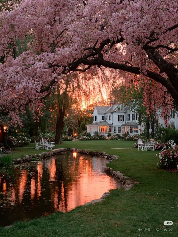 Cortisoul5's tweet image. how does pinterest see you? ⋆.𐙚 ̊

⪼ aesthetic 
⪼ dream place 
⪼ perfume 
⪼ palette

prettyy