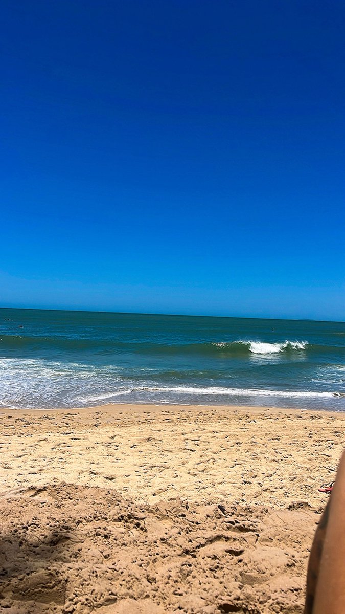 Priscilla tweet media