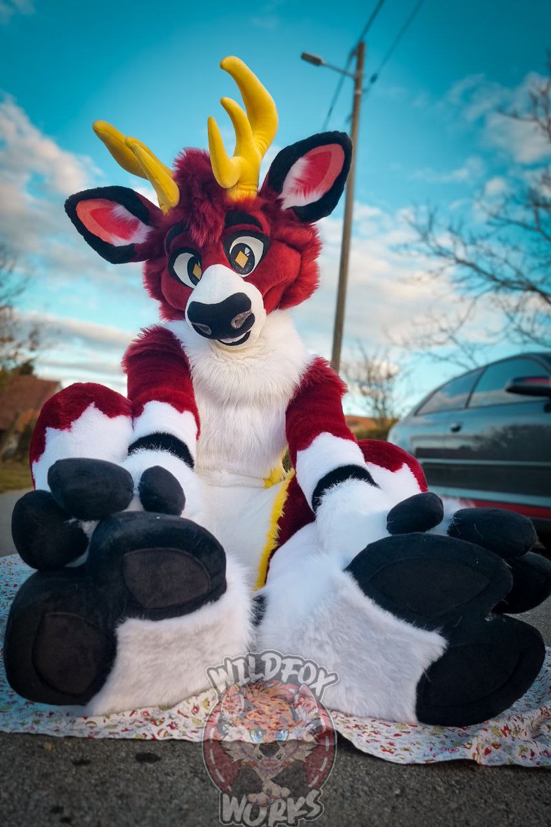Show off your hoofies for Hoofer Friday (:€

🪡 &amp; 📷: <a href="/WildFoxWorks/">🦊WILDFOXWORKS🦊 🔜 NFC & AWOO</a> 
#FursuitFriday