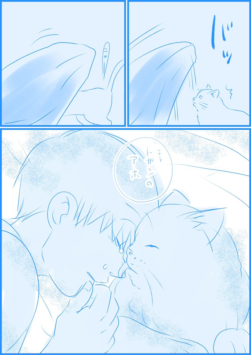 iketaraikuwane's tweet image. カバトガ（トガ不在）

トガの雪辱を果たすため学生無敗を目指す少年

⚠️カバ捏造ファミリー出てる
⚠️猫の模様は諦めた