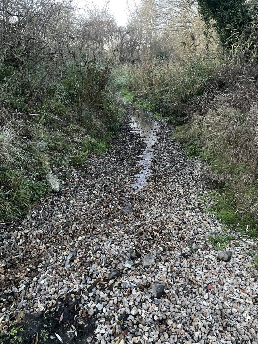 ivel_rev's tweet photo. Hey @AffinityWater what has happened to the river Ivel at Baldock? 1) augmentation pump been switched off or 2) pump failure? Your £££ restoration scheme looks better with 💦 #stakeholdercontact #chalkstream @EnvAgencyAnglia @CHinchliffMP @VerValleySoc @AquiferChalk @CaBAtweets https://t.co/C91PxhO1W3