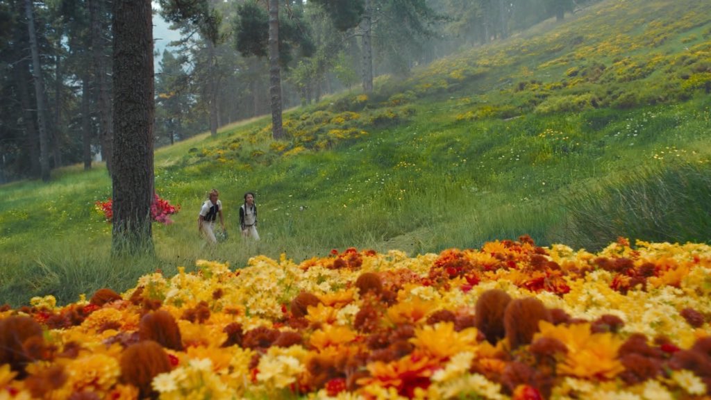 FINlCK's tweet image. the saturation looks so perfect i feel dizzy