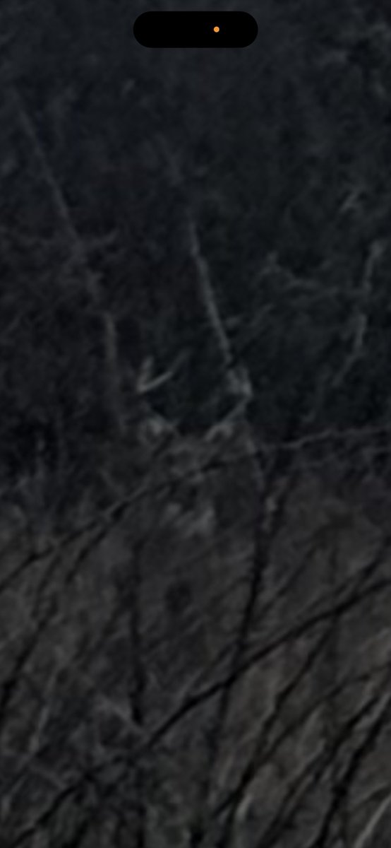 mike_n8wc's tweet image. The look they give you when you’ve been busted by the wind #bowhunting