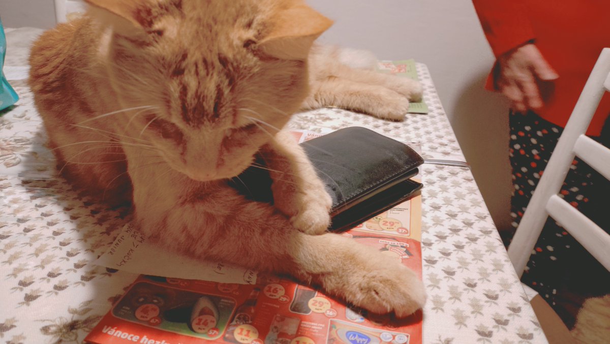 Jsem momentálně v platební neschopnosti... #panDomácí