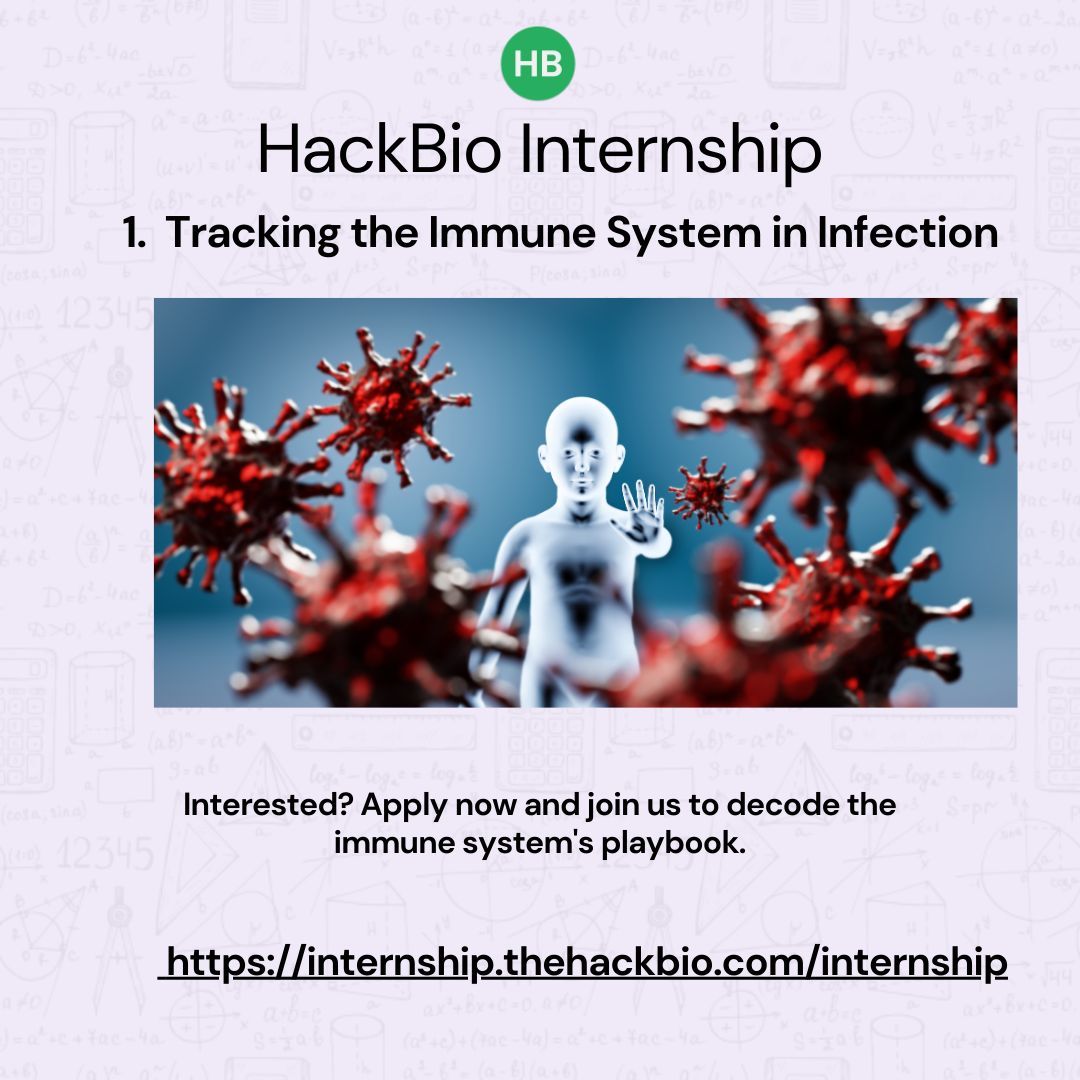 TheHackbio's tweet image. Ever wonder how your body fights back when you get sick? Our next intern projects would dive deep into watching the immune system respond to infection in real time.

To be a part of this project sign up here: buff.ly/Wttj1YK

Price: $20 
18th January 2026

#Hackbio