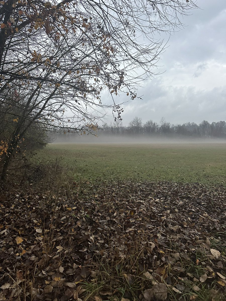 Stoner walks on a dark, rainy Fall afternoon. 🍂☁️