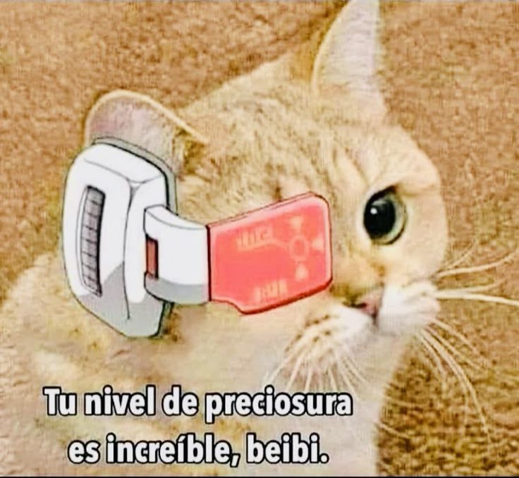 invisiblemca's tweet image. Sentí cosas de Don Océano 👁️👄👁️❤️‍🔥