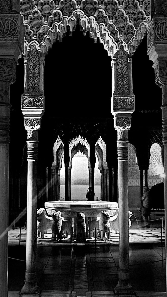 Buenas noches…✨🌙