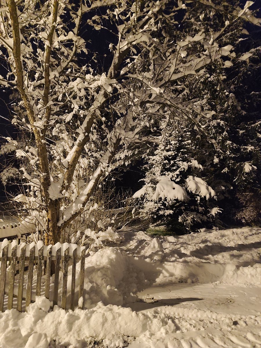 MLiskiewicz's tweet image. No nie można się nie podzielić! #Orawa