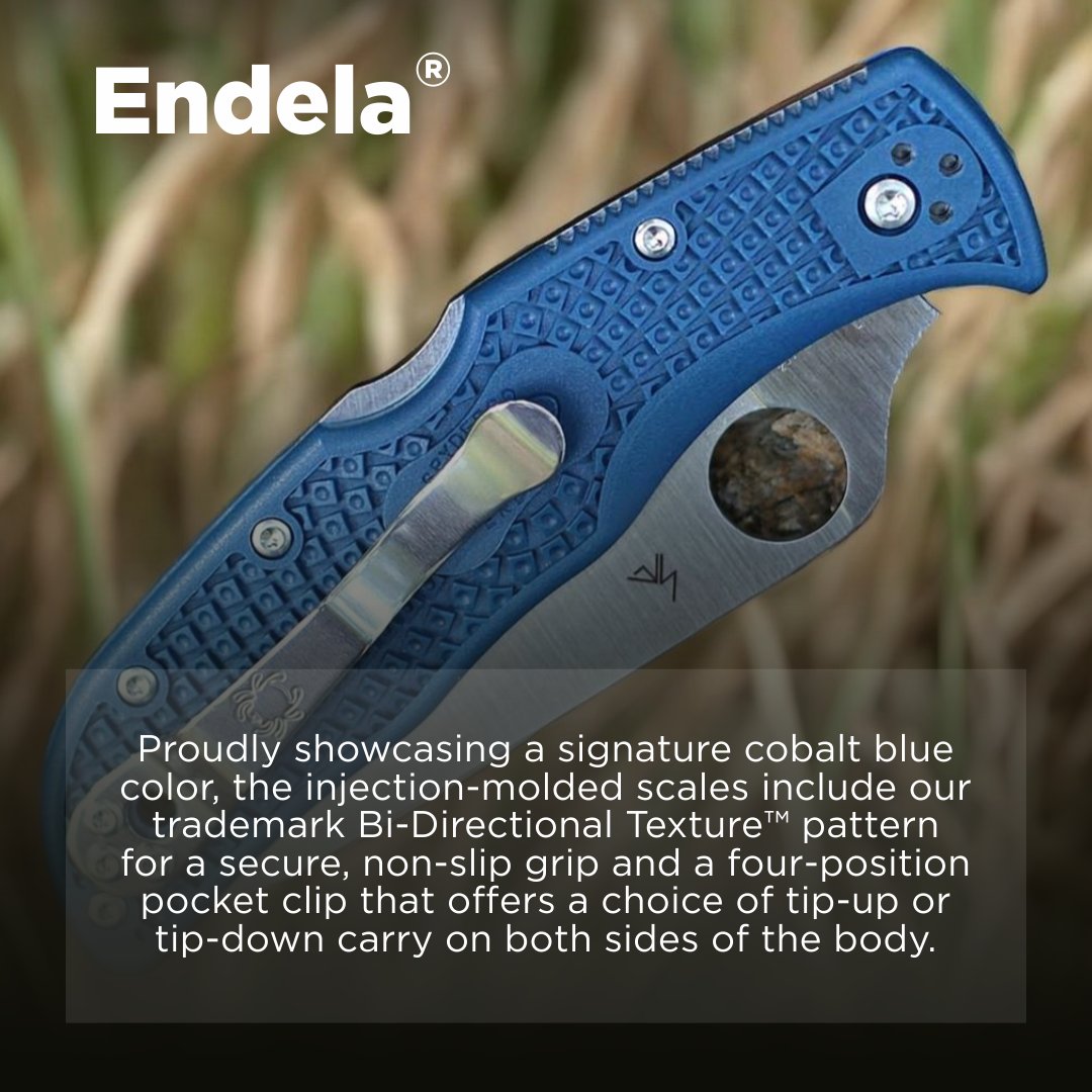 SportsandGadget's tweet image. 🗡️ Spyderco Endela Lightweight CPM SPY27 – compact, cobalt blue &amp;amp; full-flat-ground!

🔹 3.41&quot; CPM SPY27 blade
🔹 FRN handle w/ Bi-Directional Texture
🔹 Back Lock &amp;amp; skeletonized liners

EDC ready. Shop 👉 sports-and-gadgets.com/collections/ne…

#Spyderco #Endela #EDC #KnifeCommunity