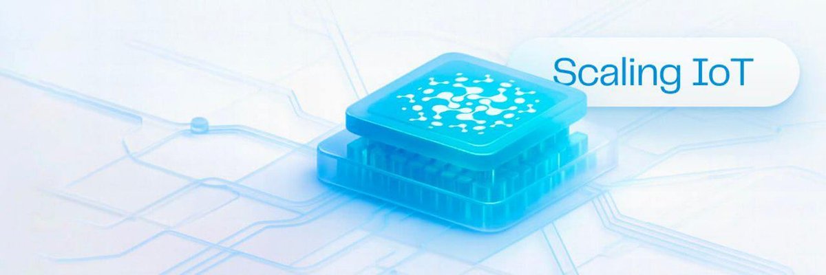 CelestialLab's tweet image. Excited to Collaborate with @Ioty_protocol  !!

Gud Tek, We like.