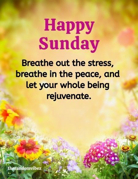 therandomvibez's tweet image. therandomvibez.com/blessed-sunday/