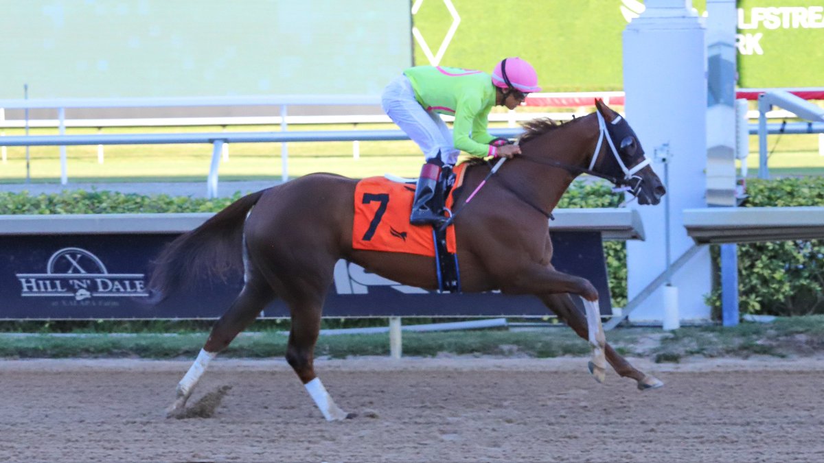 Pop Rox romps in the 9th race, <a href="/zayas_edgardo/">Edgardo Zayas</a> is the winning rider and <a href="/JFDAngelo/">Jose F D'Angelo</a> is the winning conditioner. #GulfstreamPark #SunshineMeet
