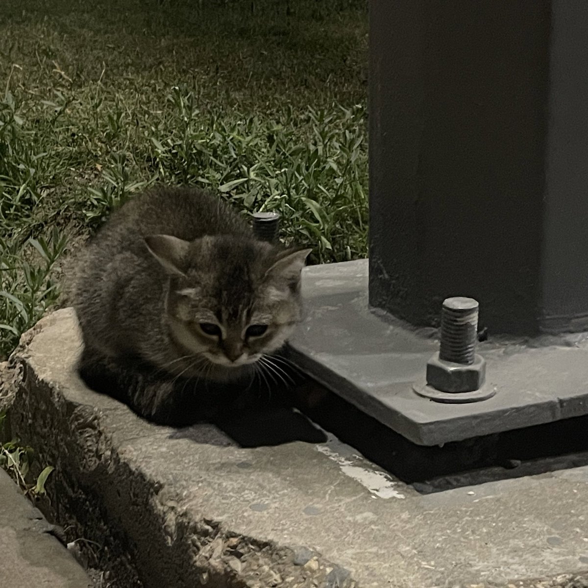 Sol ☀︎ tweet media