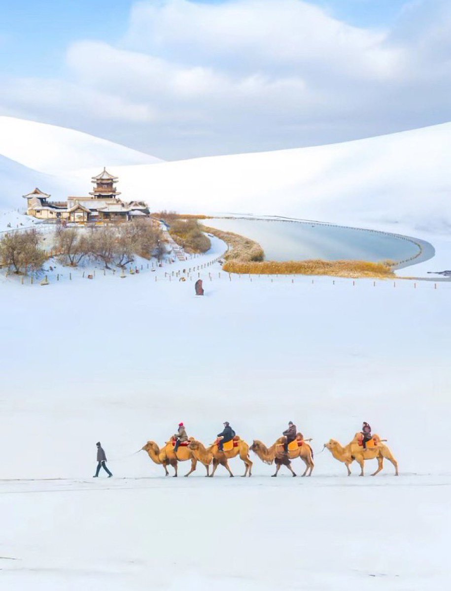 Шинэ өглөө~Шинэ боломж
Боломжийг бодит болгосон сайхан өдөр байх болтугай🧡💜❤️