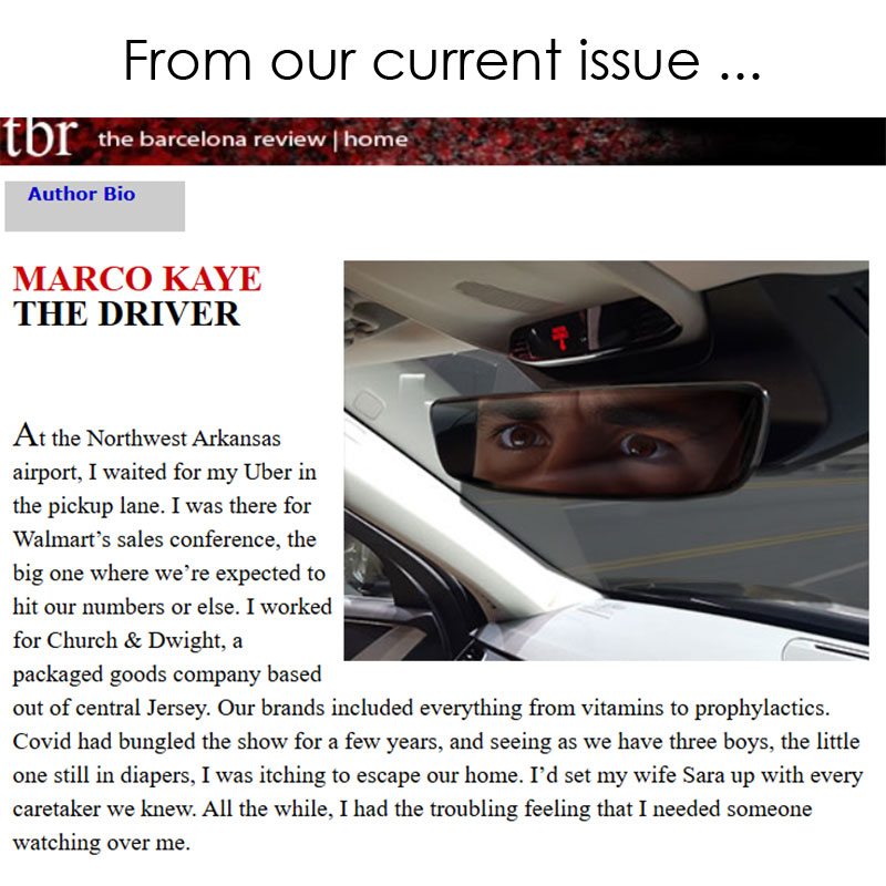 The Barcelona Review tweet media