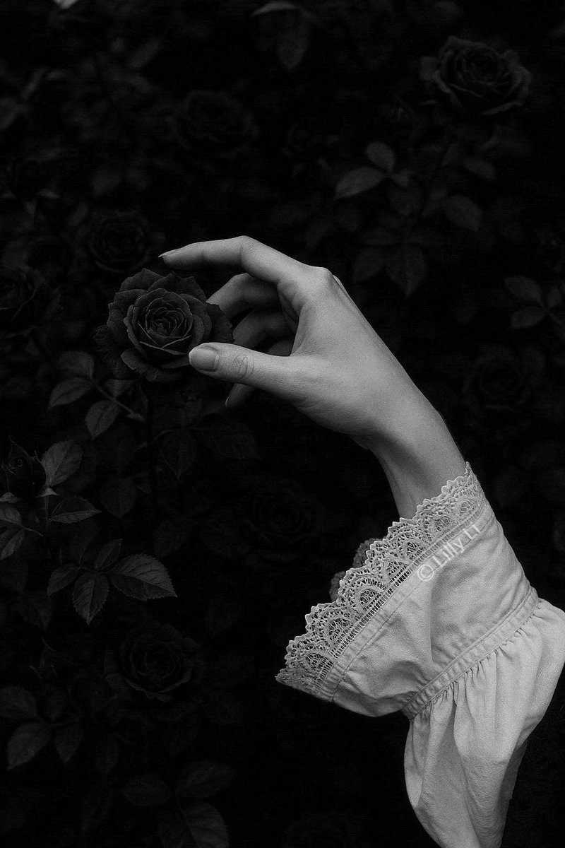 Everything quiet and simple.
📷<a href="/LillyLi48/">𝓛𝓲𝓵𝓵𝔂</a>