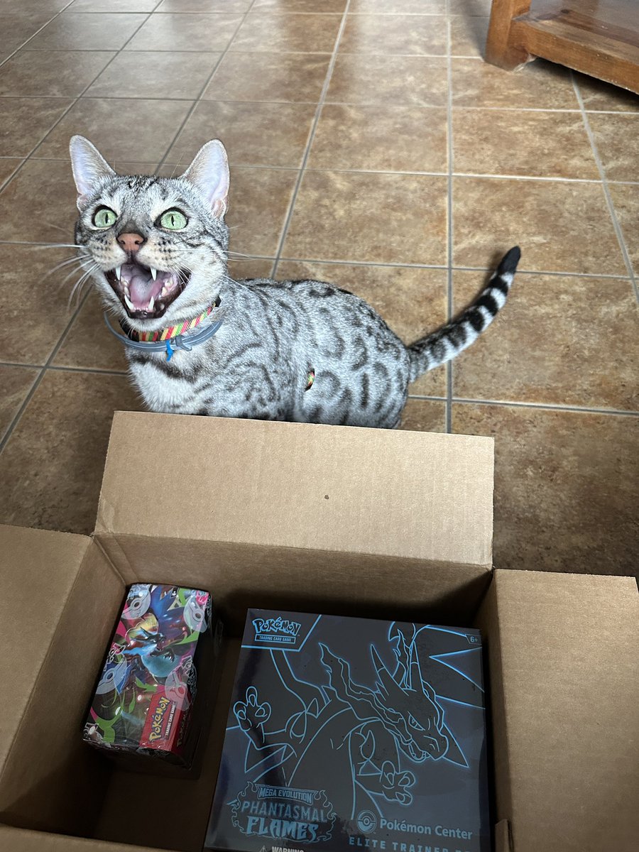 Im pretty sure I was the last one to get their Phatasmal Flames pre order because surely they were making sure the big Charizard is in here 🙏