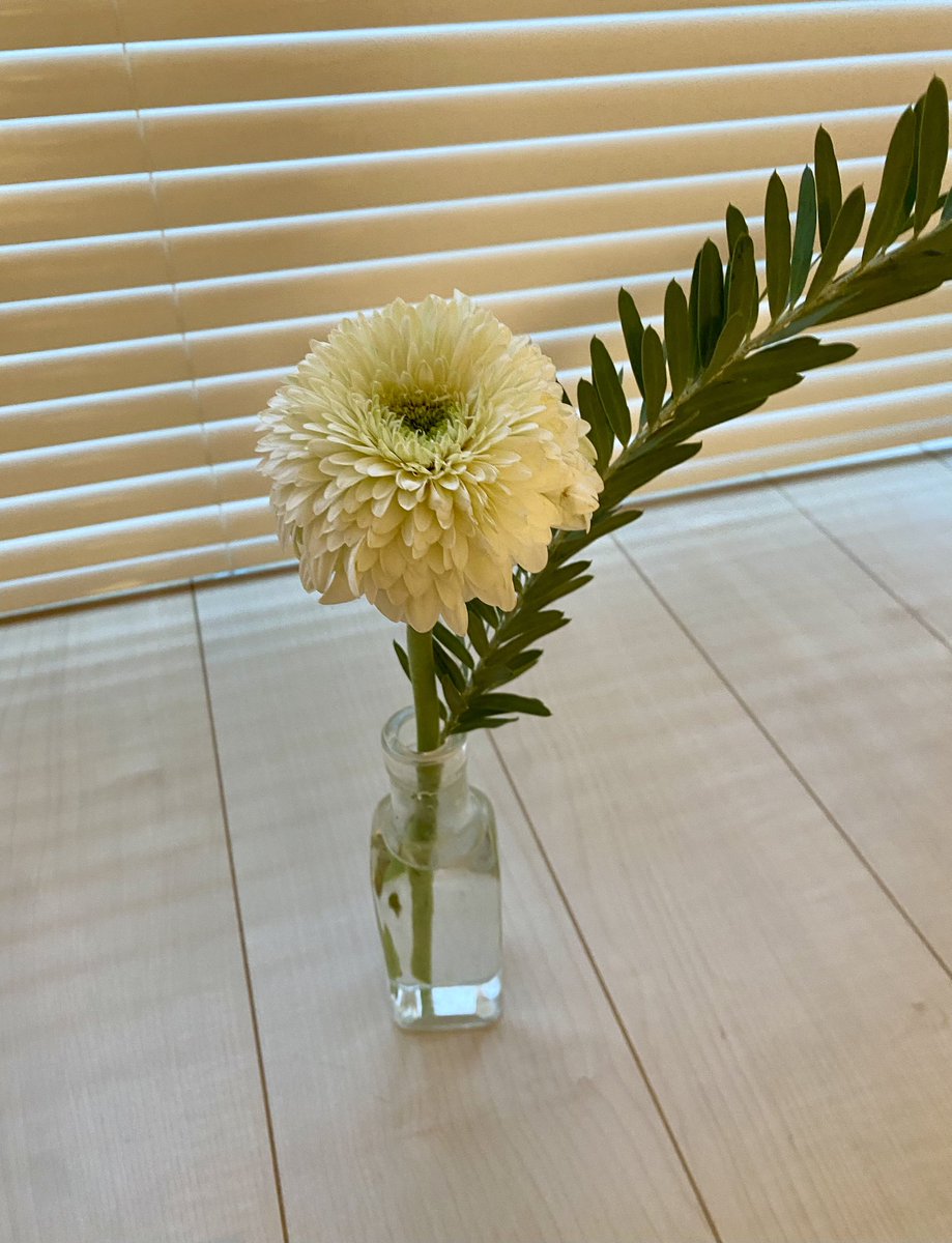 STHIRA7's tweet photo. 花を飾ろう🌼 https://t.co/z4YnoDULRC