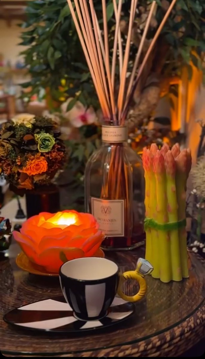 '
"🌺🪽
'

أعاملك بلطف ومحبّة  .. بس ما أذخرك لبكرة
   وهذا أريح مبدأ مشيت عليه بحياتي ..،

'
⚜️🤍