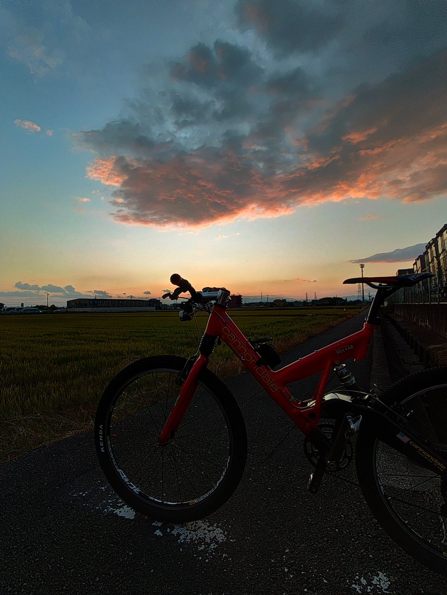 ぱにぱに8274fufufu (@panipani8274fuf) / Posts / X