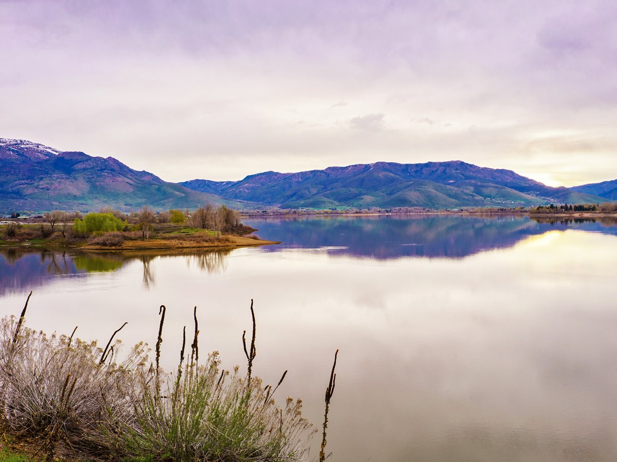 Weber County tweet media