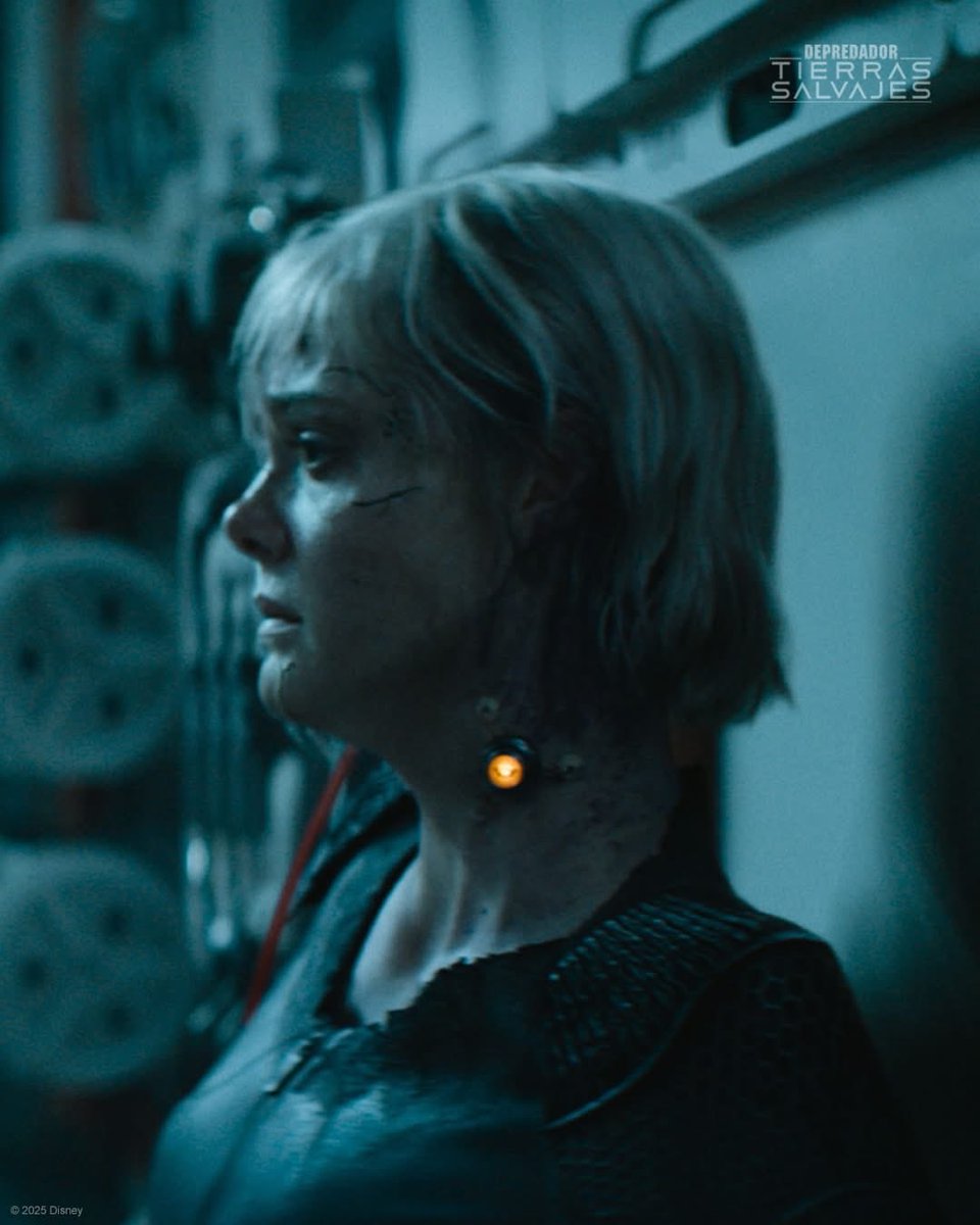 ¿Quién es el depredador y quién es la presa?
Para descubrirlo, no te pierdas #Depredador: Tierras Salvajes, ahora en el Teatro Emperador Caltzontzin.

Cuota de recuperación
$35 Boleto general

VIERNES 21 DE NOVIEMBRE:
6:15PM (SUB)
​
Para más info visita teatroemperador.org