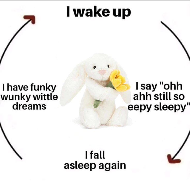 ΔΘ ૮꒰ ˶• ༝ •˶꒱ა ♡ 🏳️‍⚧️🐇🐾 tweet media