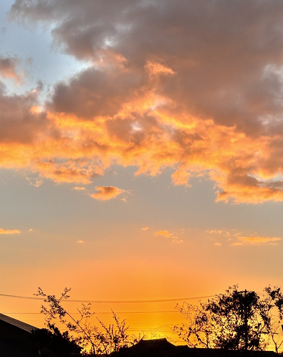 元気な声が聞けて嬉しかった🥹

けらけらころころよく笑って可愛かった💕

そして、耳元で聞くあのナレーションはヤバイ💓

余韻に浸る幸せな朝🌅

きっと今日もいい日になるね🌈

#羽生クラスタ空部