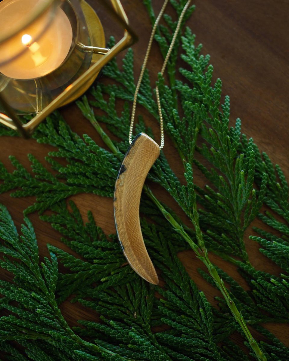 IlauraLongley's tweet image. Woolly Mammoth tusk earrings discovered at The Boneyard Alaska.
Soft beige and dark tusk variations, raw gold, and ancient beauty in every pair. ✧

#fossils