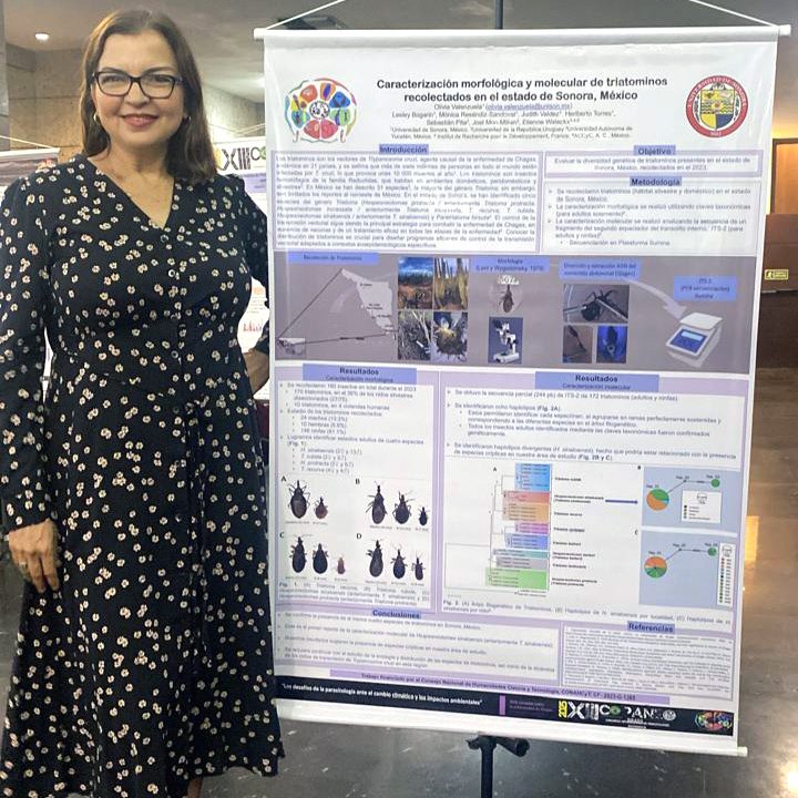 SoyUnison's tweet image. Recibe evaluación sobresaliente proyecto de investigadora de Unison a nivel nacional: unison.mx/nota/?idnoti=3…