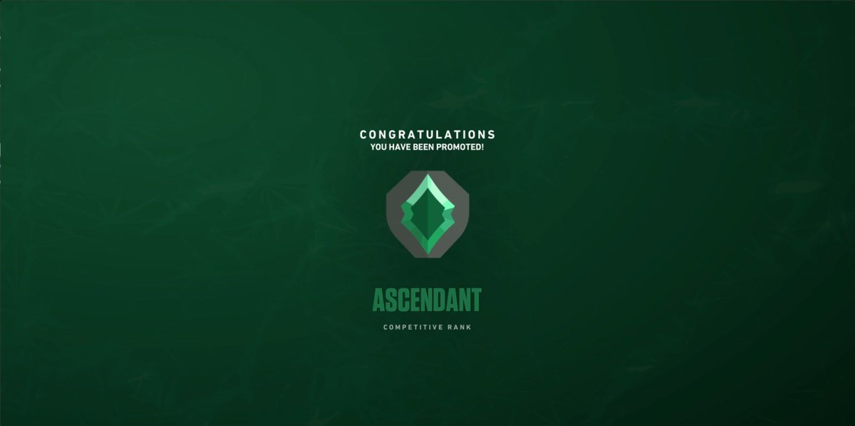 meowXmeow tweet media