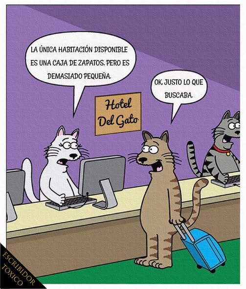 JAVIERCASTRO96's tweet image. En fin, nos vamos retirando. Buenas noches.