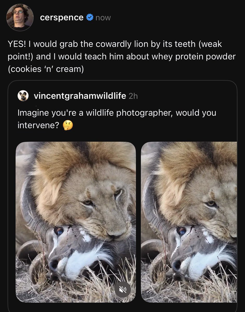 cer spence tweet media