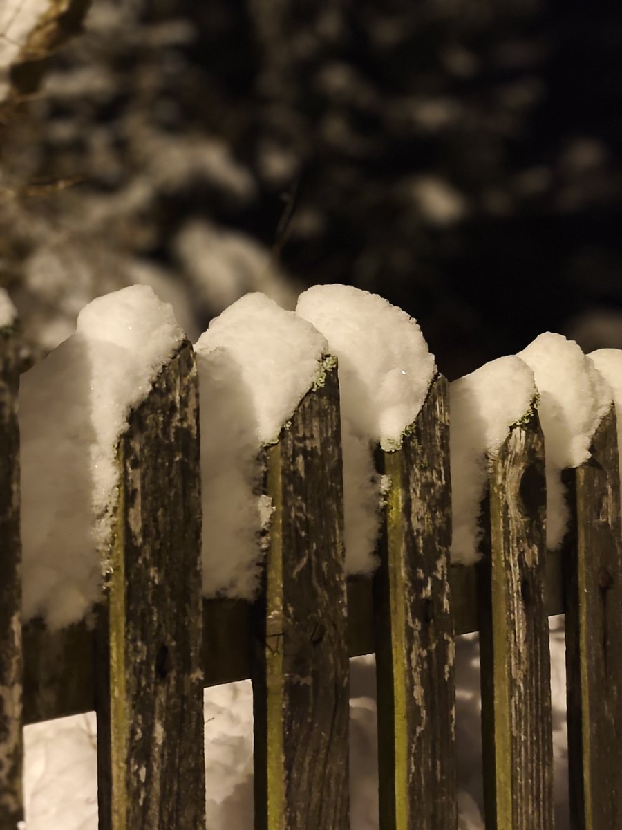 MLiskiewicz's tweet image. Alegria, joy of life! 
#Orawa