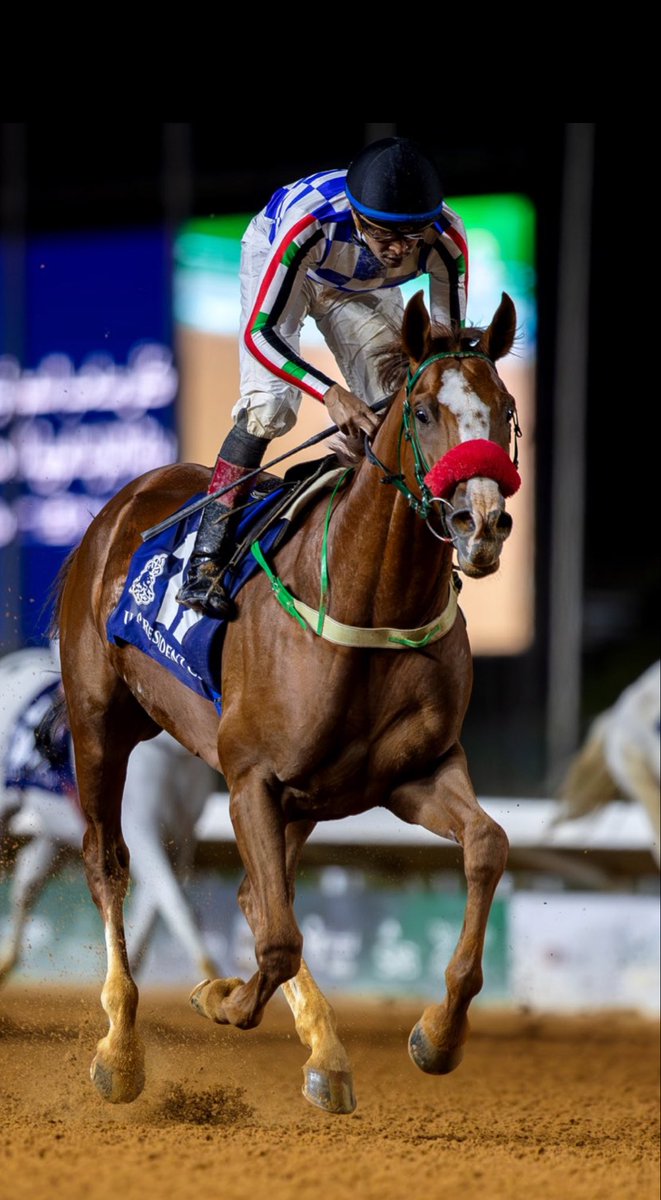 نجيب الزمان 🔥

يجيب النداء ويعود من جديد بعد توقف واستراحة من أصابة يعود البطل ليتوج بنتصار مميز بكاس سمو رئيس دولة الامارات في جولته ماقبل الاخيرة 🇦🇪🐎🏆

الف مبروك لاسطبل العاديات ولشريف هزاع ودكتور محمد النجيفي وللمدرب عبد العزيز الموسى وخياله عبد الله الفيروز 👏🏻